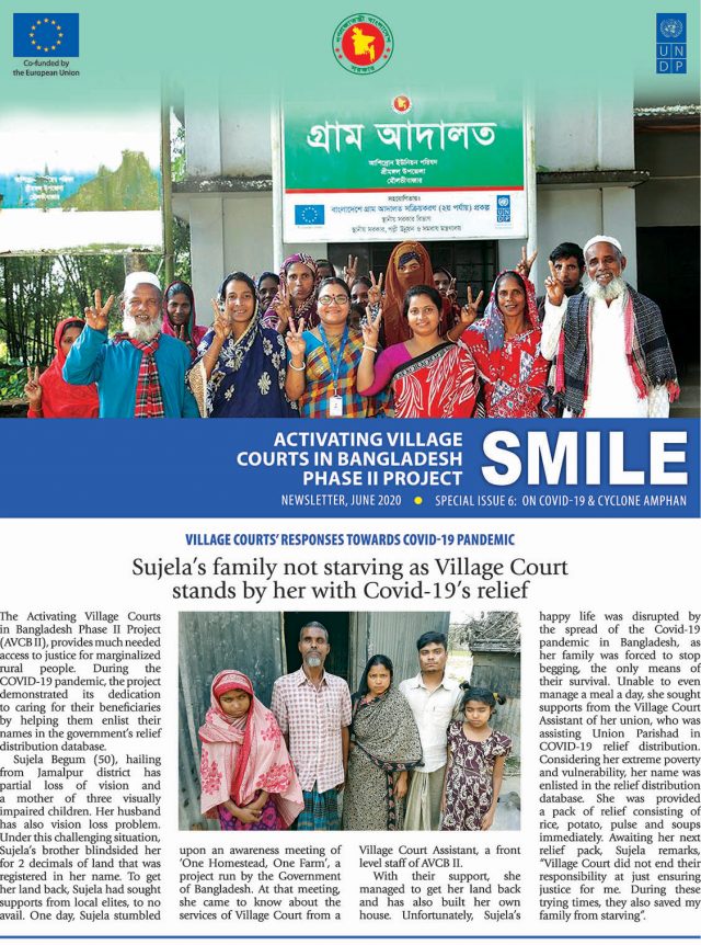 Newsletter 2020 Issue 6 - publication_image